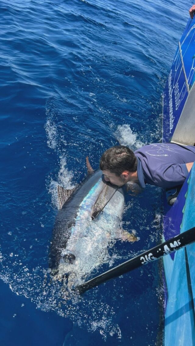 🎣🎣🎣🎣 Ils sont encore la, et ils ont faim !!! 🐟🐟🐟🐟

#tuna#passionpeche #pecheenmer #thon#peche #lescalepechepropriano #propriano #fishing #corsedusud #corse